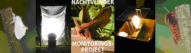 banner nachtvlinders